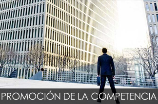 Promoción de la competencia